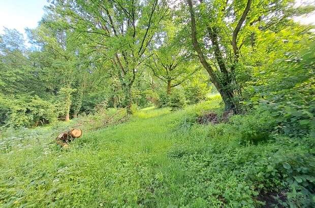 Gewerbeobjekt kaufen in 8582 Rosental (Bild 4)