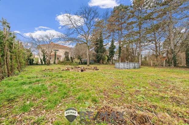 Grundstück kaufen in 2231 Strasshof (Bild 1)