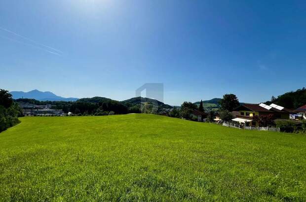Grundstück kaufen in 5020 Salzburg (Bild 2)