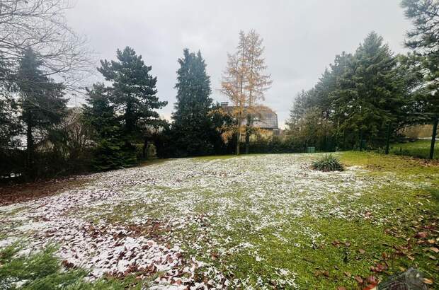 Einfamilienhaus kaufen in 2113 Karnabrunn (Bild 1)