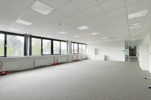Gewerbeobjekt mieten in 8042 Graz (Bild 2)
