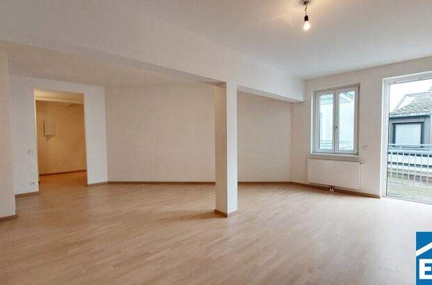 Terrassenwohnung mieten in 1010 Wien (Bild 2)