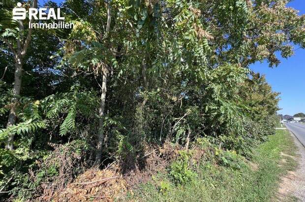 Grundstück kaufen in 2230 Gänserndorf (Bild 1)