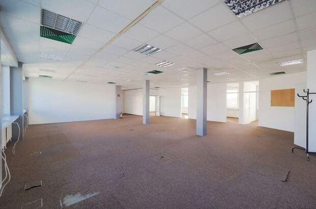 Gewerbeobjekt mieten in 2331 Vösendorf (Bild 5)