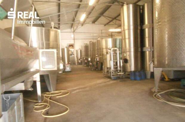 Lager kaufen in 7122 Gols (Bild 2)