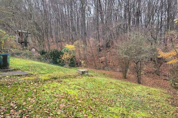 Grundstück kaufen in 3002 Purkersdorf (Bild 4)