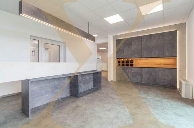 Büro / Praxis mieten in 4060 Leonding (Bild 1)