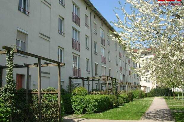 Terrassenwohnung mieten in 4060 Leonding (Bild 1)