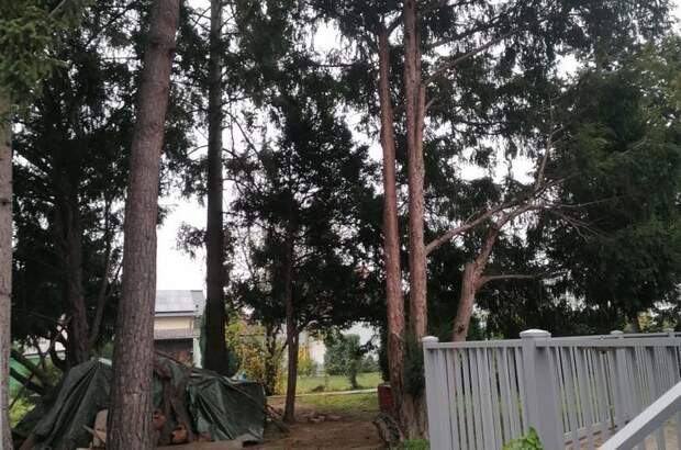 Einfamilienhaus kaufen in 2000 Stockerau (Bild 5)