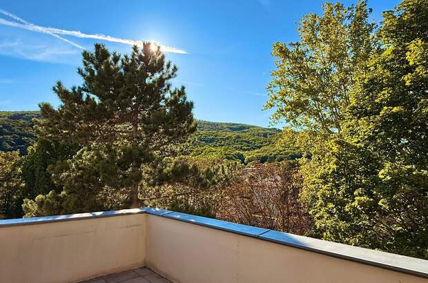 Terrassenwohnung kaufen in 2500 Baden (Bild 1)