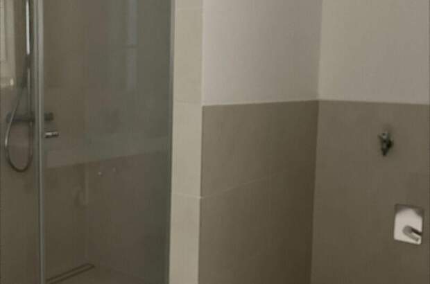 Altbauwohnung mieten in 1010 Wien (Bild 5)