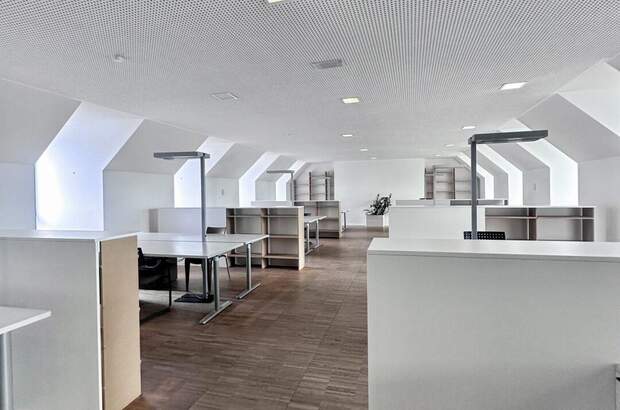 Gewerbeobjekt mieten in 4040 Linz (Bild 1)