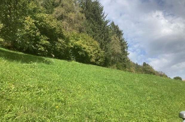 Gewerbeobjekt kaufen in 6471 Arzl (Bild 5)