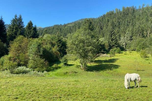 Grundstück kaufen in 8953 Donnersbachwald (Bild 5)