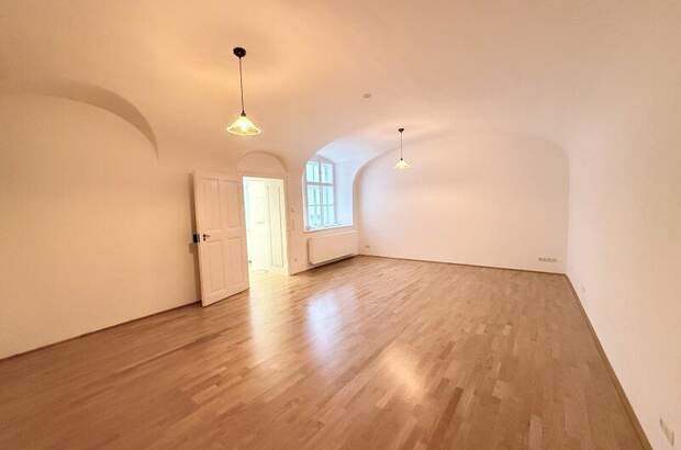 Büro / Praxis mieten in 1010 Wien (Bild 1)