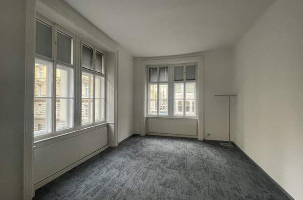 Gewerbeobjekt mieten in 1010 Wien (Bild 3)