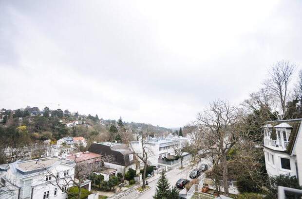Terrassenwohnung kaufen in 1190 Wien (Bild 2)