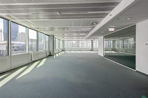 Gewerbeobjekt mieten in 1220 Wien (Bild 3)