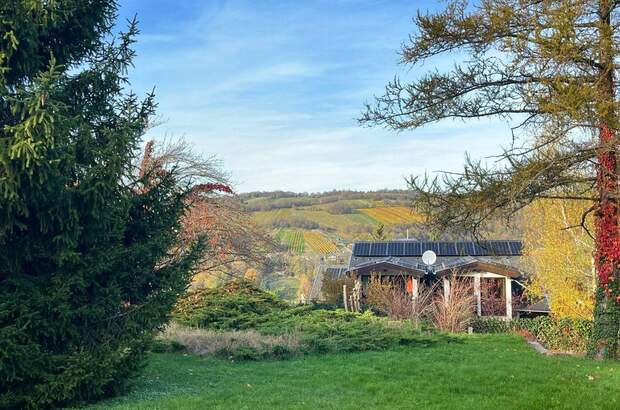 Grundstück kaufen in 3400 Weidling (Bild 2)