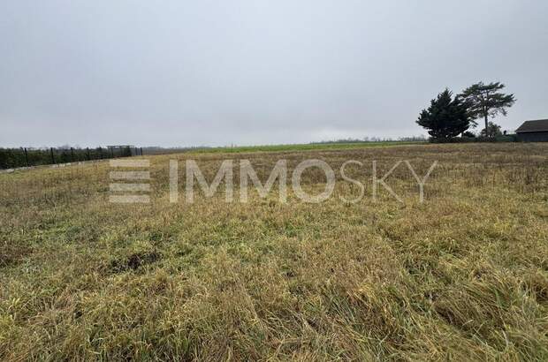 Grundstück kaufen in 2201 Kapellerfeld (Bild 3)