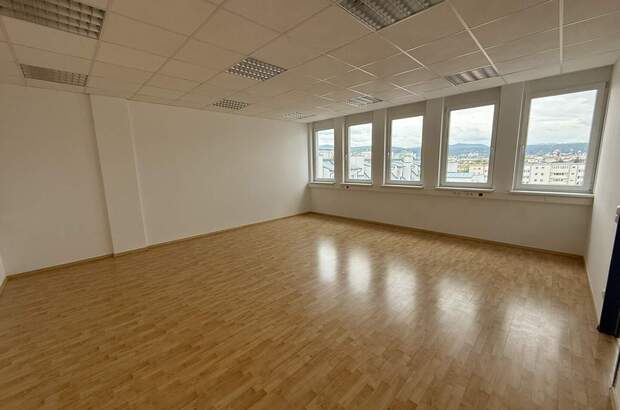 Büro / Praxis mieten in 2351 Wr. Neudorf (Bild 5)