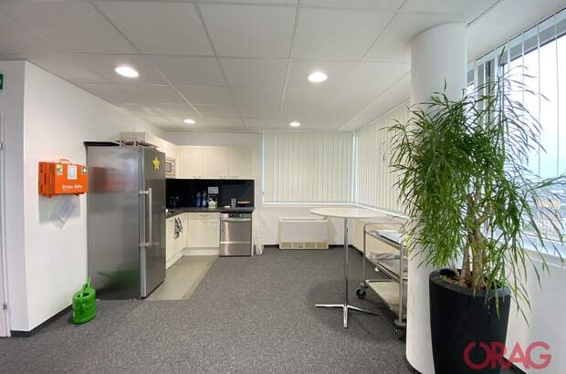 Gewerbeobjekt mieten in 4040 Linz (Bild 4)