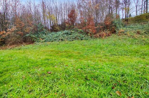 Grundstück kaufen in 4650 Lambach (Bild 5)