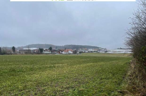 Grundstück kaufen in 4211 Spattendorf (Bild 4)