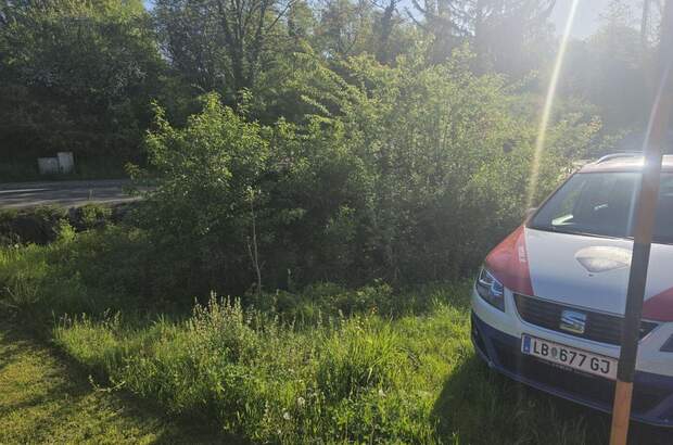 Grundstück kaufen in 8092 Mettersdorf (Bild 2)