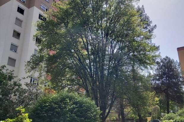 Wohnung mit Balkon kaufen in 8047 Graz (Bild 2)