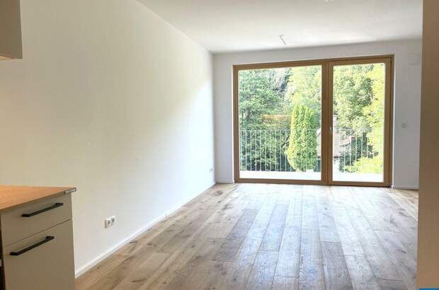 Wohnung mit Balkon kaufen in 2391 Kaltenleutgeben (Bild 2)