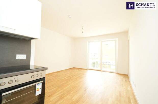 Terrassenwohnung kaufen in 8401 Kalsdorf (Bild 5)