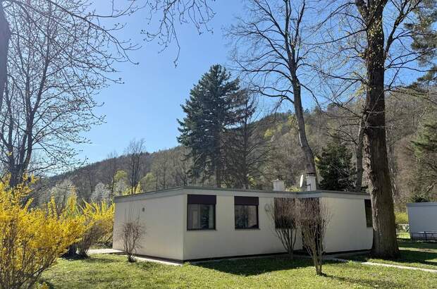 Einfamilienhaus kaufen in 2824 Seebenstein (Bild 3)