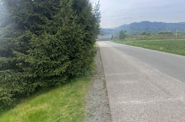 Gewerbeobjekt kaufen in 9020 Klagenfurt (Bild 3)