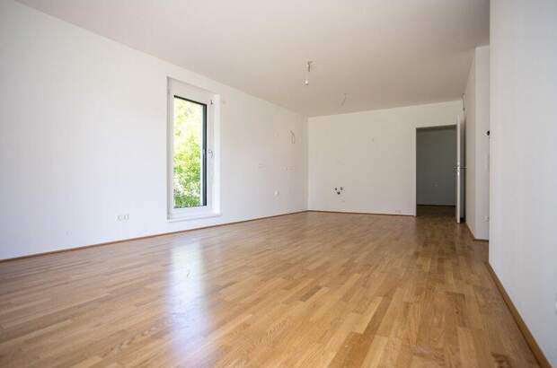 Terrassenwohnung kaufen in 2700 Wr. Neustadt (Bild 4)