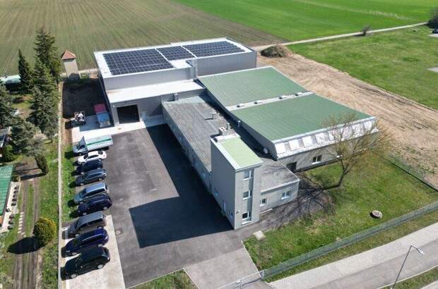 Lager kaufen in 2293 Marchegg (Bild 1)