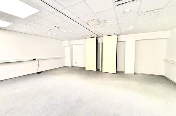 Gewerbeobjekt mieten in 2351 Wiener Neudorf (Bild 2)