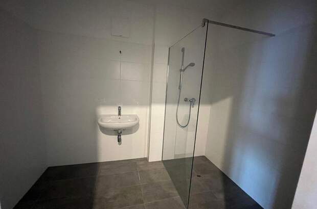 Terrassenwohnung mieten in 8020 Graz (Bild 3)