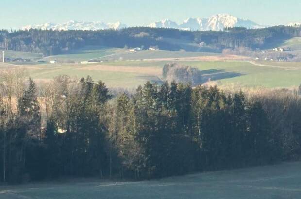 Einfamilienhaus kaufen in 4910 Pattigham (Bild 5)