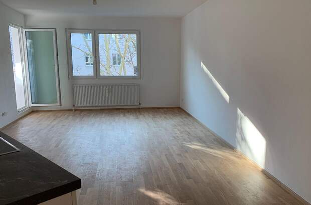 Wohnung mit Balkon mieten in 1100 Wien