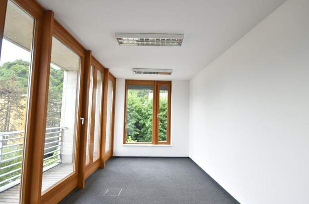 Gewerbeobjekt mieten in 5020 Salzburg (Bild 3)