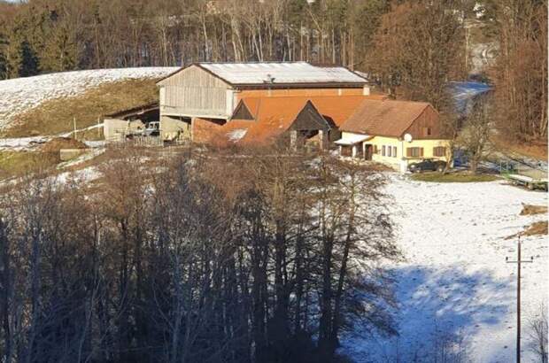Gewerbeobjekt kaufen in 8082 Kirchbach (Bild 3)
