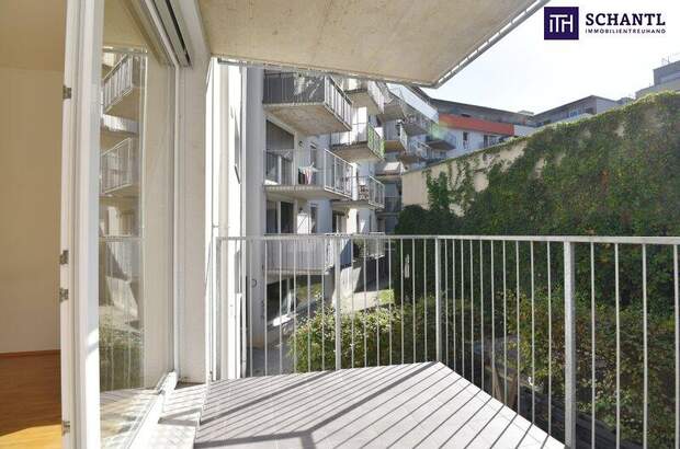 Terrassenwohnung mieten in 8020 Graz (Bild 3)