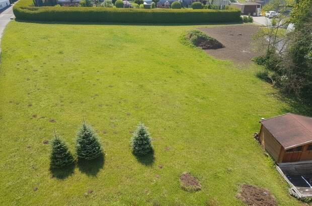 Grundstück kaufen in 4551 Ried (Bild 1)