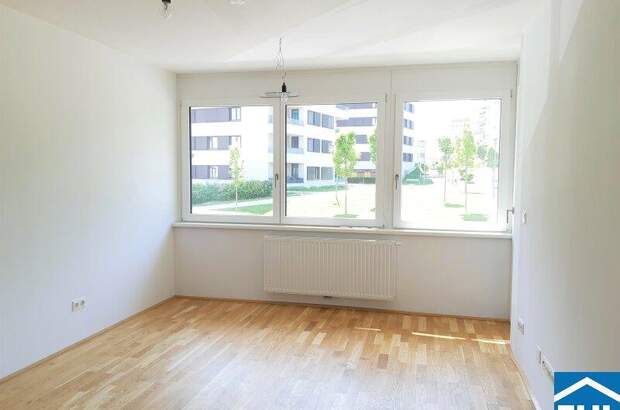 Terrassenwohnung mieten in 1030 Wien (Bild 1)