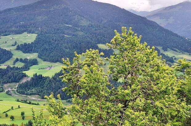 Gewerbeobjekt kaufen in 6363 Westendorf (Bild 1)