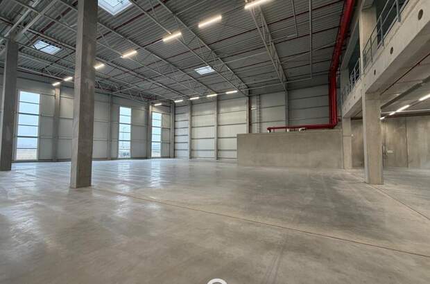 Gewerbeobjekt mieten in 4470 Enns (Bild 4)