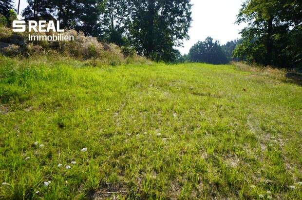 Grundstück kaufen in 3962 Heinrichs (Bild 5)