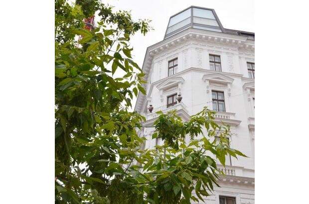 Wohnung kaufen in 1010 Wien (Bild 2)