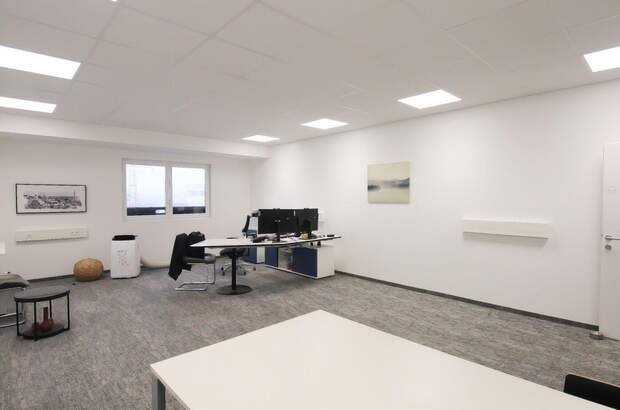 Gewerbeobjekt mieten in 4844 Regau (Bild 3)